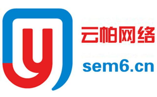 德州云帕網絡科技與德陽網絡信息科技 兩家網絡科技公司的對比與展望